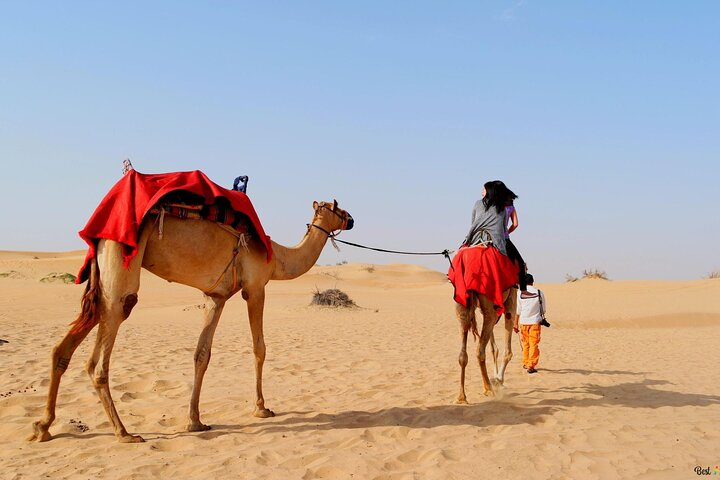 Desert Safari Dubai with BBQ Buffet Dinner