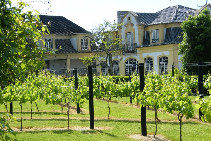 Lisbon Getaway: Private Arrábida Wine & Food Tour