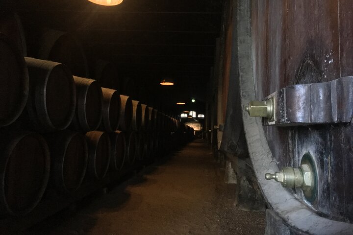 Lisbon Getaway: Private Arrábida Wine & Food Tour