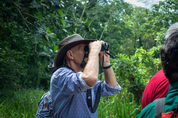 3-Day Jungle Adventure from / to Tena - Napo Amazon Region