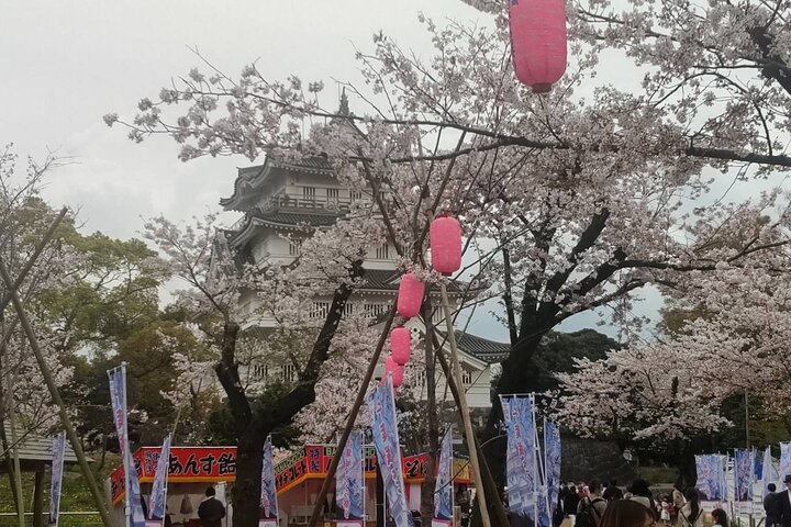 Japanese Cooking Class and Cultural Experience Around Tokyo