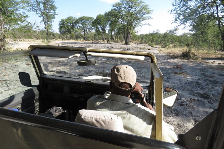 1 Day Moremi Game Drive Safari, guided