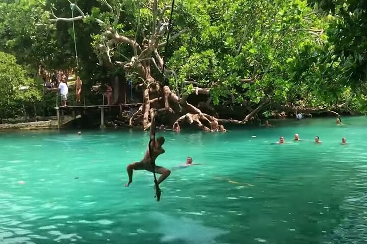 Private Swimming with Turtles/Sharks at Blue Lagoon and Waterfall