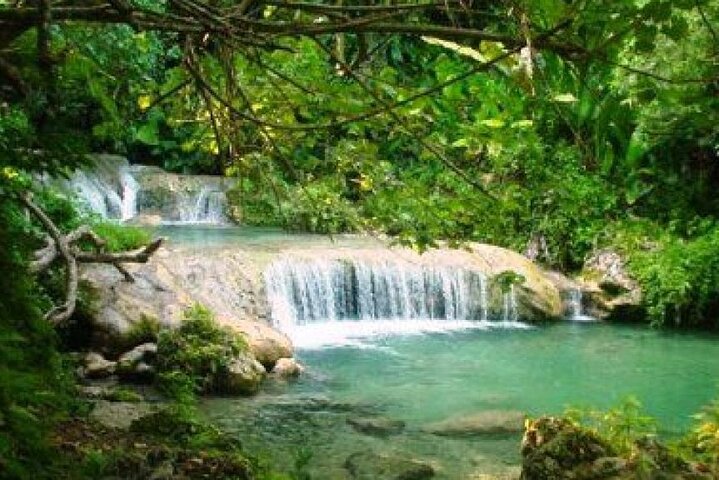 Private Swimming with Turtles/Sharks at Blue Lagoon and Waterfall