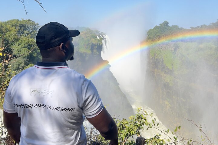 Zimbabwe & Zambia: Guided Tour of the Falls from Both Sides