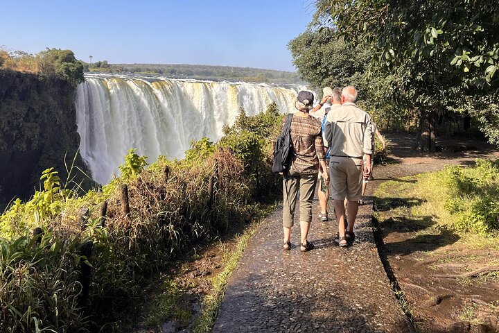 Zimbabwe & Zambia: Guided Tour of the Falls from Both Sides