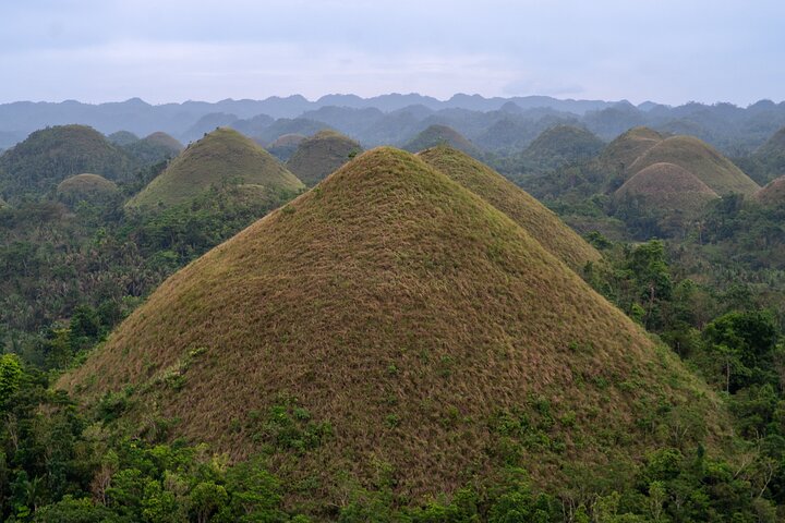 Bohol Chocolate Farm with Chocolate Hills &Tarsiers
