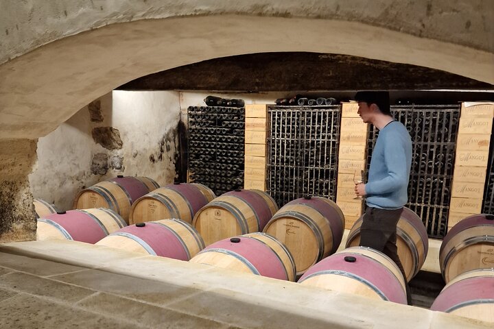 Saint-Émilion Wine Tour By Premium Electric Bike, Lunch Included