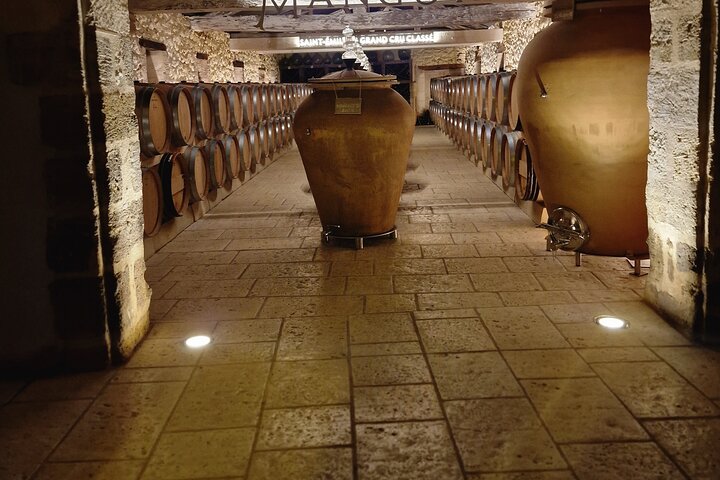 Saint-Émilion Wine Tour By Premium Electric Bike, Lunch Included