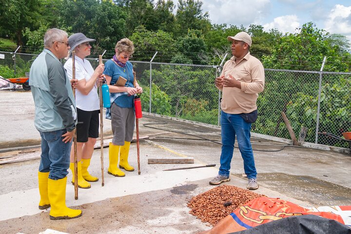 Churute Mangrove Ecological Reserve and Cocoa Farm