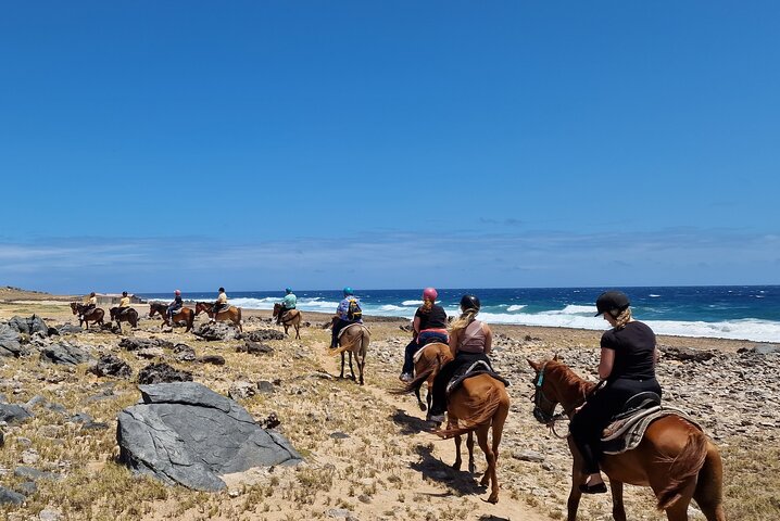 Aruba Ecological & Coastline Horseback Ride with Beach Photo Stop