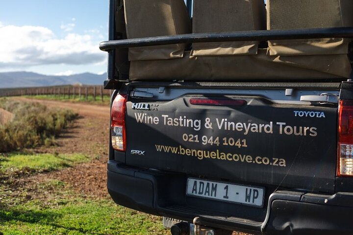 Vineyard Safari and Wine Tasting in Hermanus with Guide