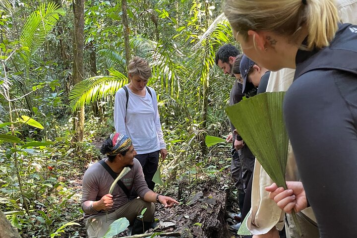 5 Days Cuyabeno Amazon Experience at Waita Lodge