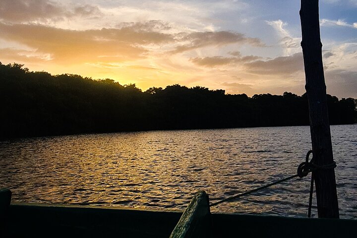 Caroni Bird Sanctuary Tour