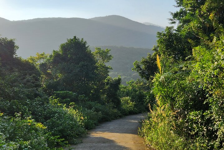 Endangered Monkeys Watching - Red Shanked Douc Langurs