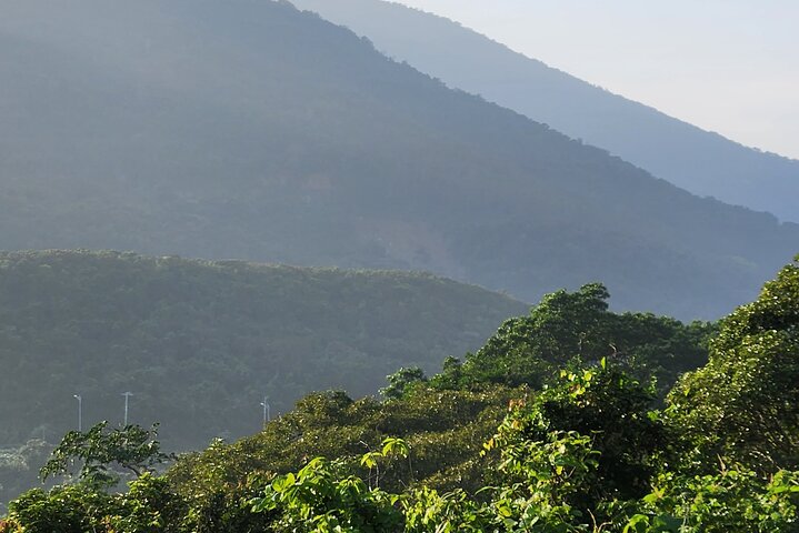 Endangered Monkeys Watching - Red Shanked Douc Langurs