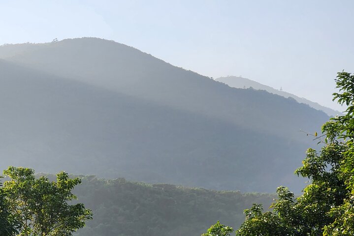 Endangered Monkeys Watching - Red Shanked Douc Langurs