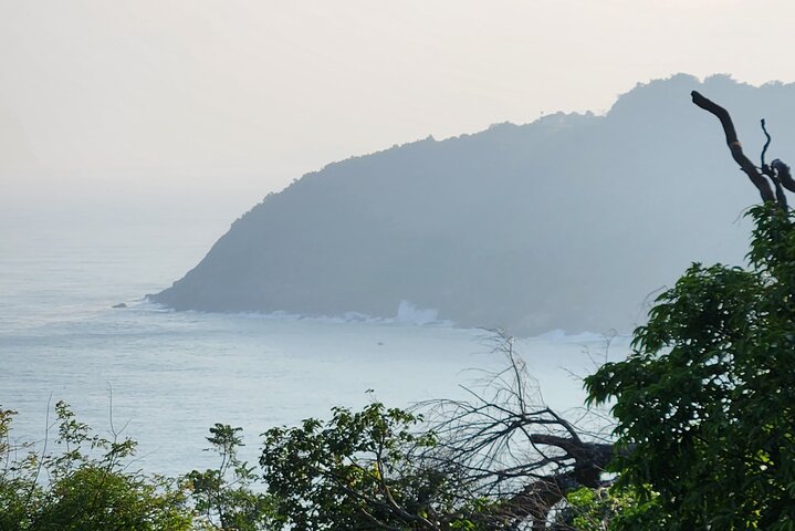 Endangered Monkeys Watching - Red Shanked Douc Langurs