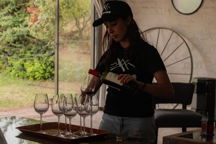 Roast and Empanadas Class with Wine |Mendoza|Braseando Experience