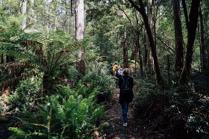 Full-Day Guided Bruny Island Tour from Hobart