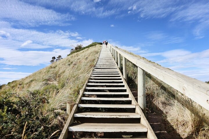 Full-Day Guided Bruny Island Tour from Hobart