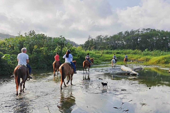Beach Horseback Riding Adventure in Copalita, Huatulco