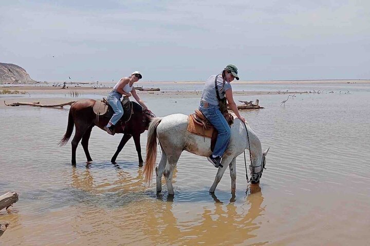 Beach Horseback Riding Adventure in Copalita, Huatulco