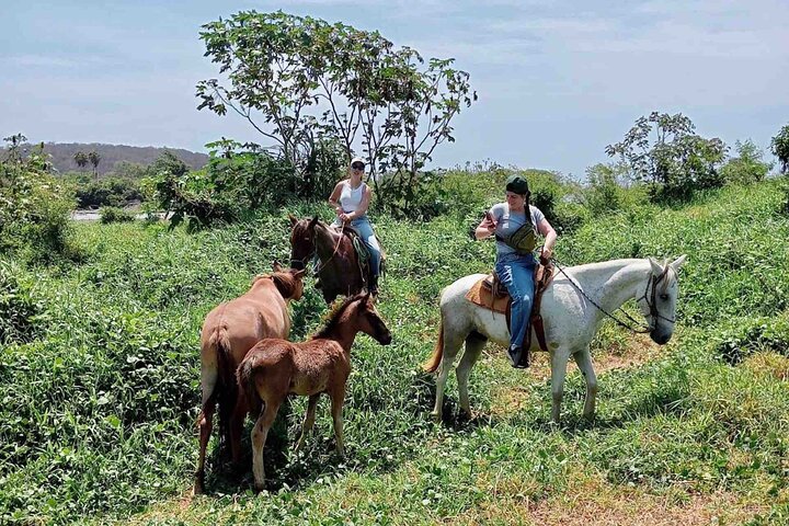 Beach Horseback Riding Adventure in Copalita, Huatulco