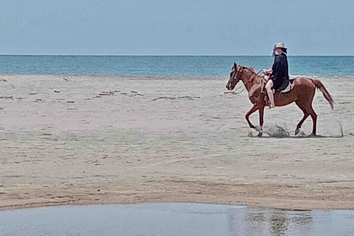 Beach Horseback Riding Adventure in Copalita, Huatulco
