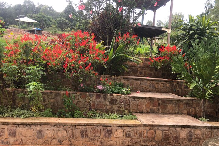Kigali City Tour, Genocide Memorial, Sightseeing, Zipline Tour