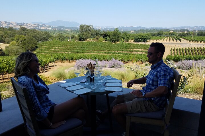 6 Hour Private Customized Wine Tour up to 7 Guests Napa & Sonoma