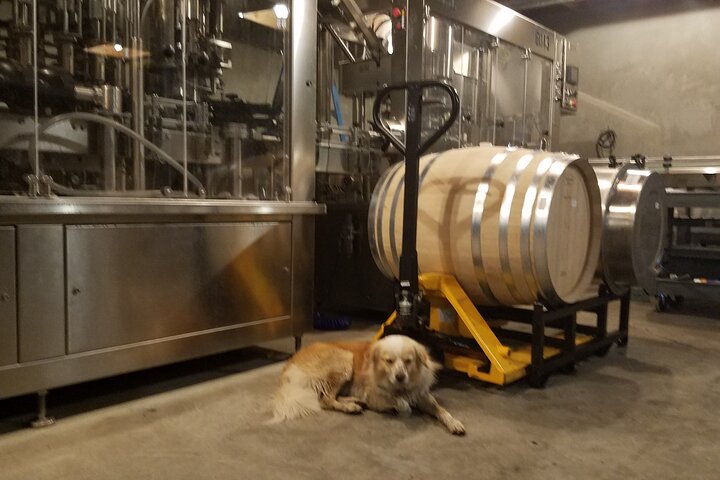 6 Hour Private Customized Wine Tour up to 7 Guests Napa & Sonoma