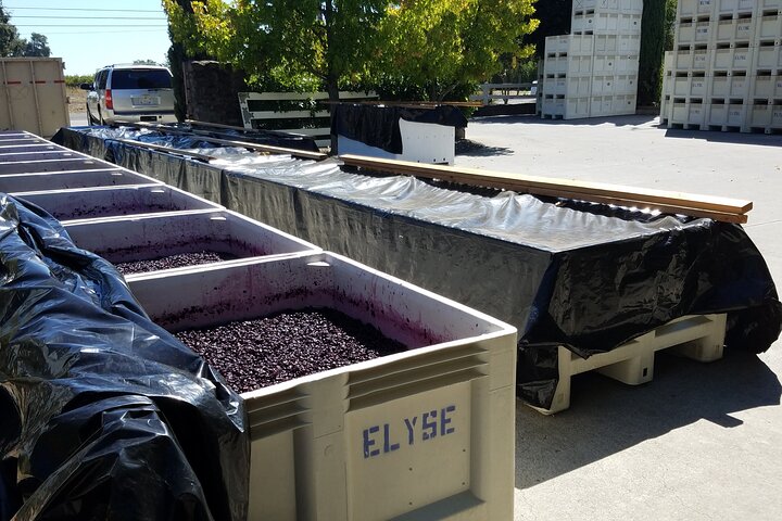 6 Hour Private Customized Wine Tour up to 7 Guests Napa & Sonoma