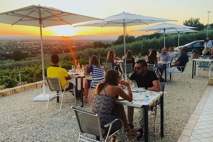 Enjoy and Taste the Flavors of Wine in an Open-air Venue