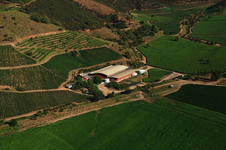 Private San Antonio Port and Chocalan Winery with Transfer Hotel