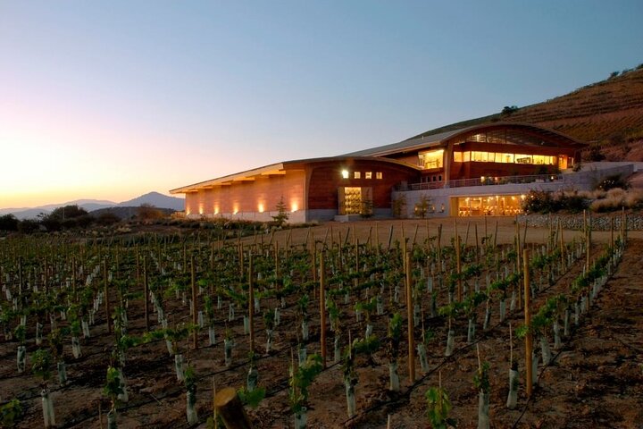 Private San Antonio Port and Chocalan Winery with Transfer Hotel