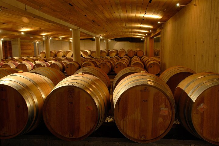 Private San Antonio Port and Chocalan Winery with Transfer Hotel