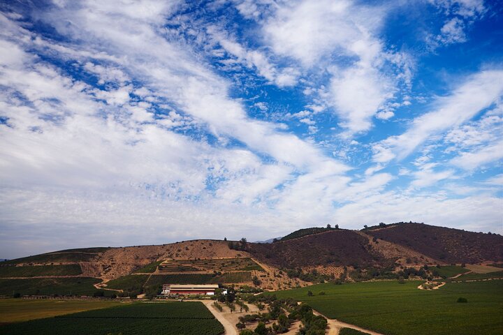 Private San Antonio Port and Chocalan Winery with Transfer Hotel