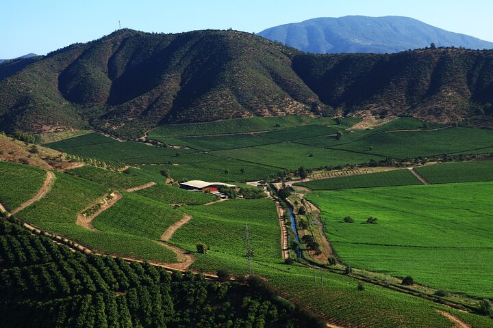 Private San Antonio Port and Chocalan Winery with Transfer Hotel
