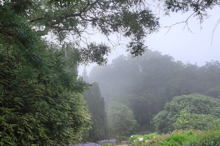 Best of Sintra Private Tour with Local Guide & Hotel Pickup