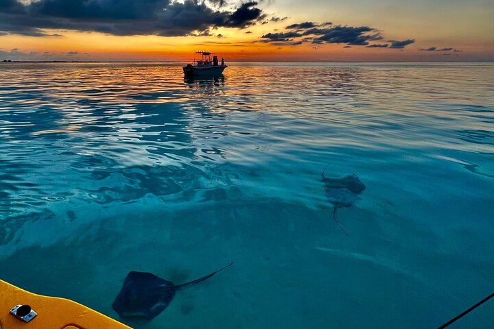 Private Boat Tours: Customize Your Grand Cayman Adventure!