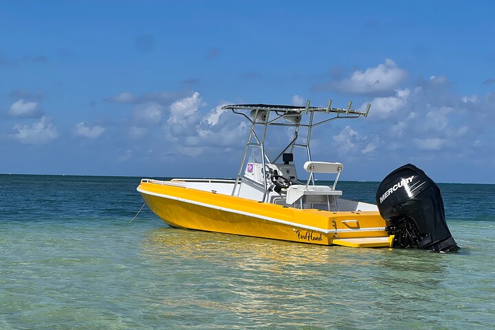 Private Boat Tours: Customize Your Grand Cayman Adventure!