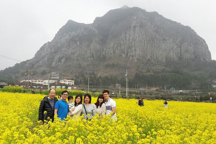 Package tour of All areas of Jeju Island-(East &South &West)