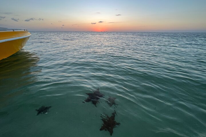 Private Boat Tours: Customize Your Grand Cayman Adventure!
