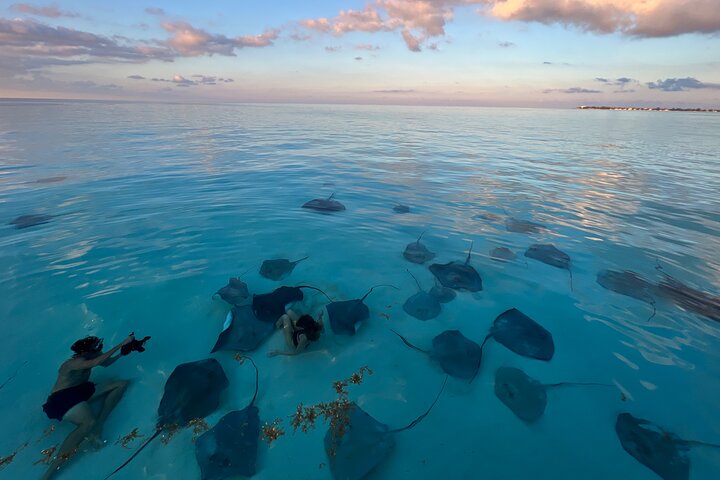 Private Boat Tours: Customize Your Grand Cayman Adventure!