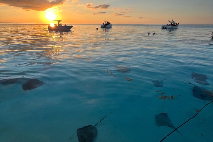 Private Boat Tours: Customize Your Grand Cayman Adventure!