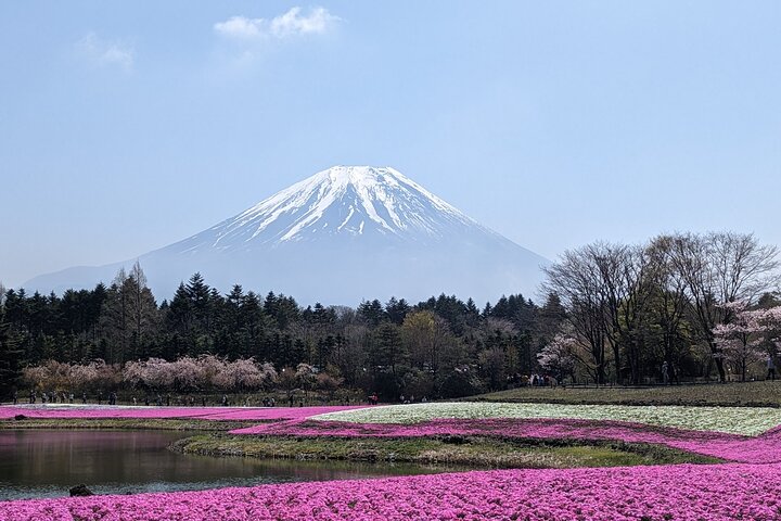 Mt Fuji Hidden Gem & Gotemba Premium Outlets with Local Driver