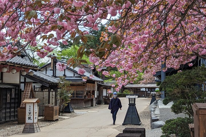 Nikko Toshogu, Edo Wonderland, and more | Licensed Guide &Driver