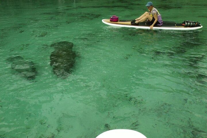 Silver Springs Clear Kayak Manatee, Monkey & Wildlife Adventures