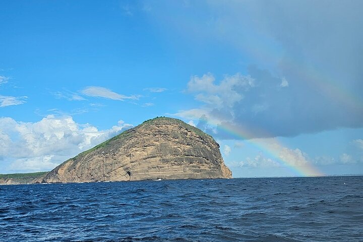 3 North Islands Catamaran Cruise with Lunch & Drinks on island.